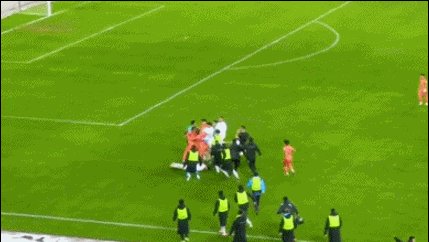 1776938546769021386.gif 1.gif